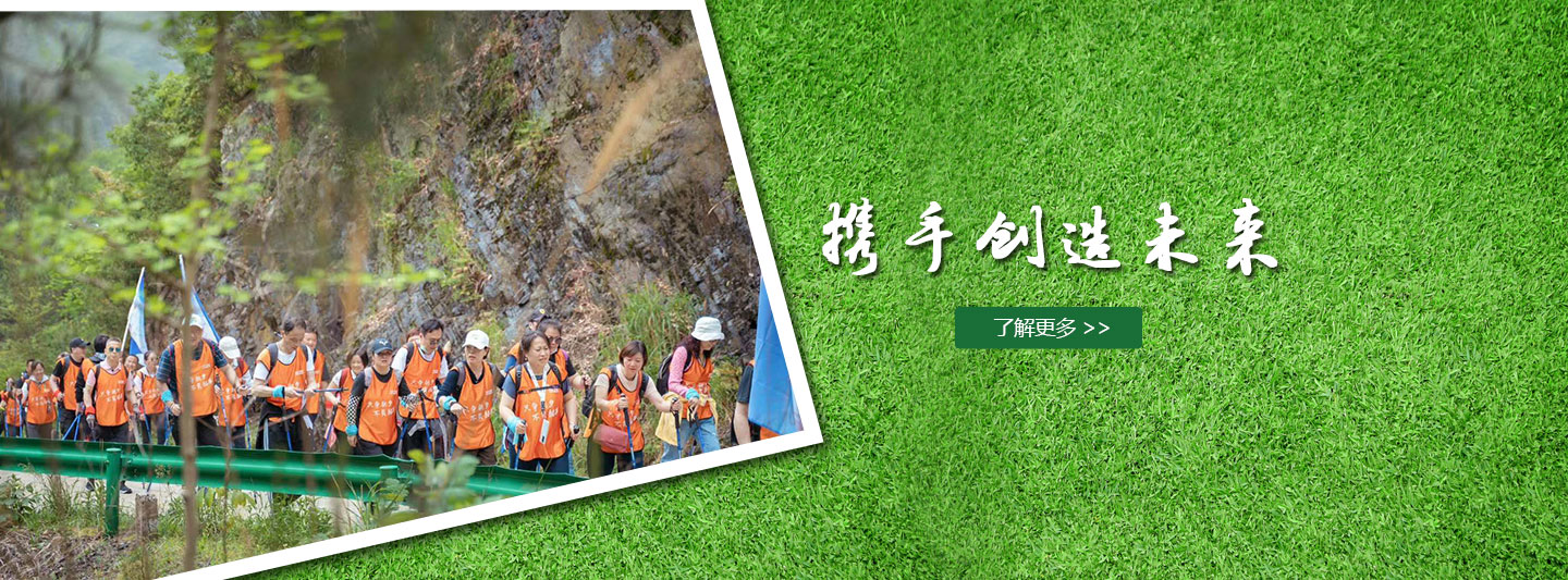 全球領先的電扶梯及部件制造商